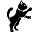 Cat wagging tail