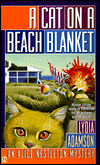Cat on beach blanket